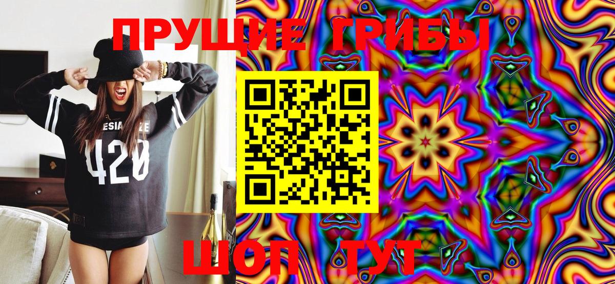 Псилоцибиновые грибы Psilocybine cubensis Чапаевск