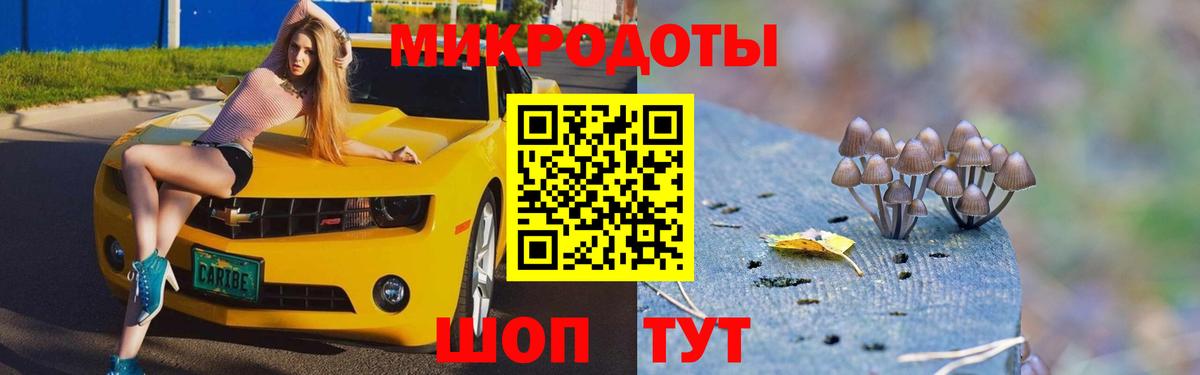 цена наркотик  Псилоцибиновые грибы мухоморы  Чапаевск  Вход с VPN  Галлюциногенные грибы MAGIC MUSHROOMS 
